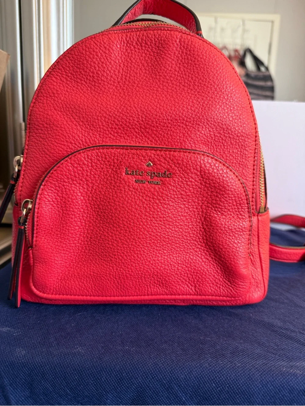 Kate Spade Carter Street Mini Caden Backpack Pebbled Leather Picnic Red